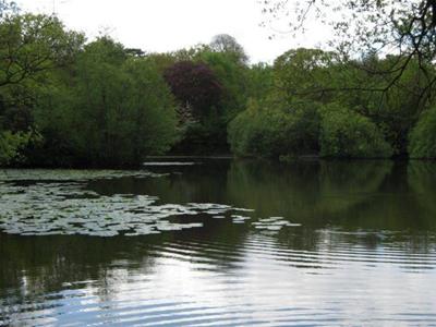 Picture 9